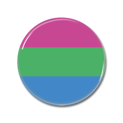 polysexual Flag | Button