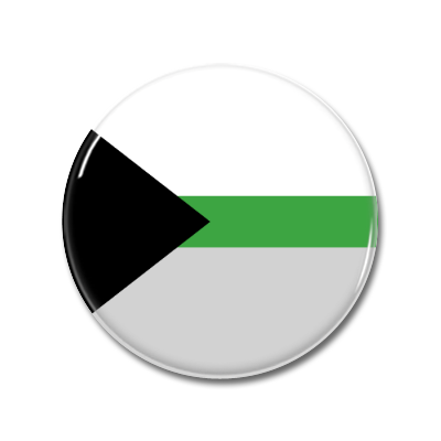 Demiromantic Flag | Button